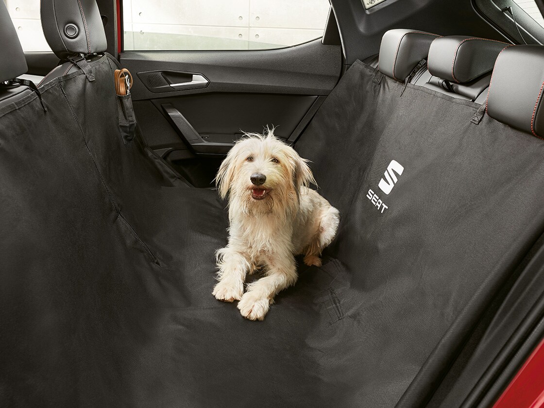 Dog sitting comfortably on a protective SEAT cover inside the SEAT Leon.